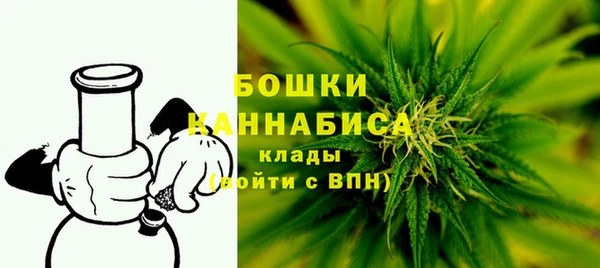 индика Володарск
