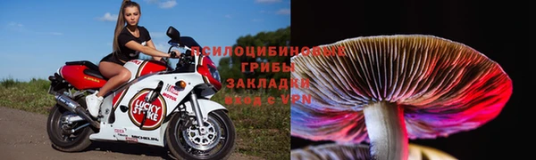 индика Володарск