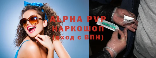 индика Володарск