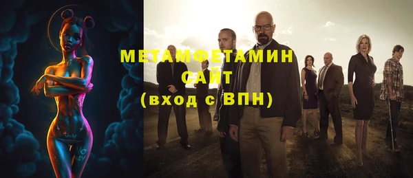индика Володарск
