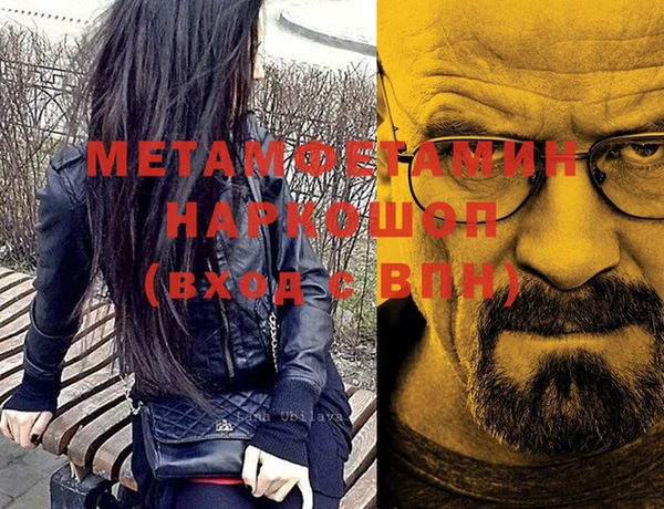 индика Володарск