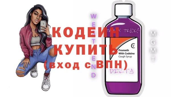 индика Володарск