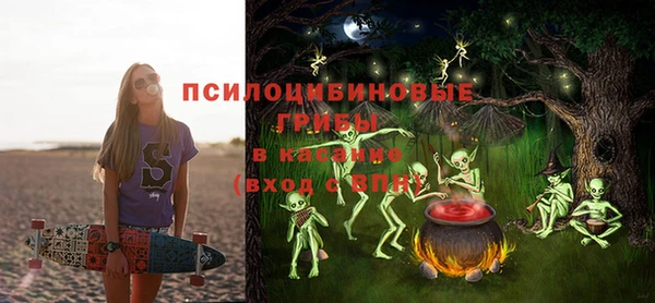 индика Володарск