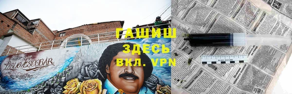 индика Володарск
