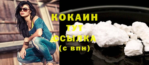 индика Володарск