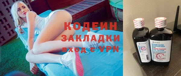 индика Володарск