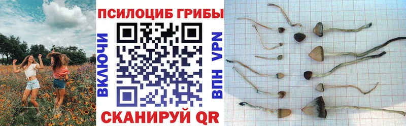 Галлюциногенные грибы ЛСД Нижний Тагил